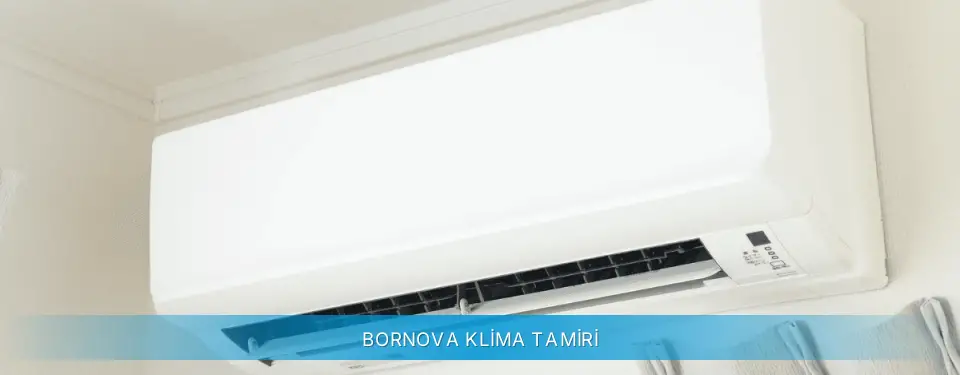 Bornova İlçemi Altus Klima Tamiri